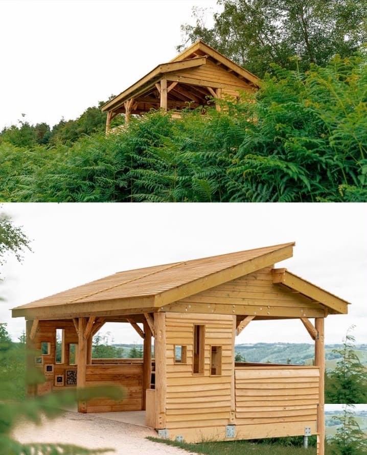 Two views of the Haldon Forest Park timber shelter: from a distance among ferns, and a closer angled exterior shot
